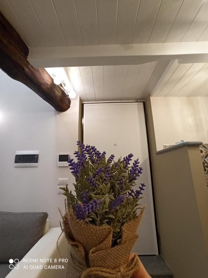 Antico-Vicolo Appartamento Viviana Vercelli Buitenkant foto